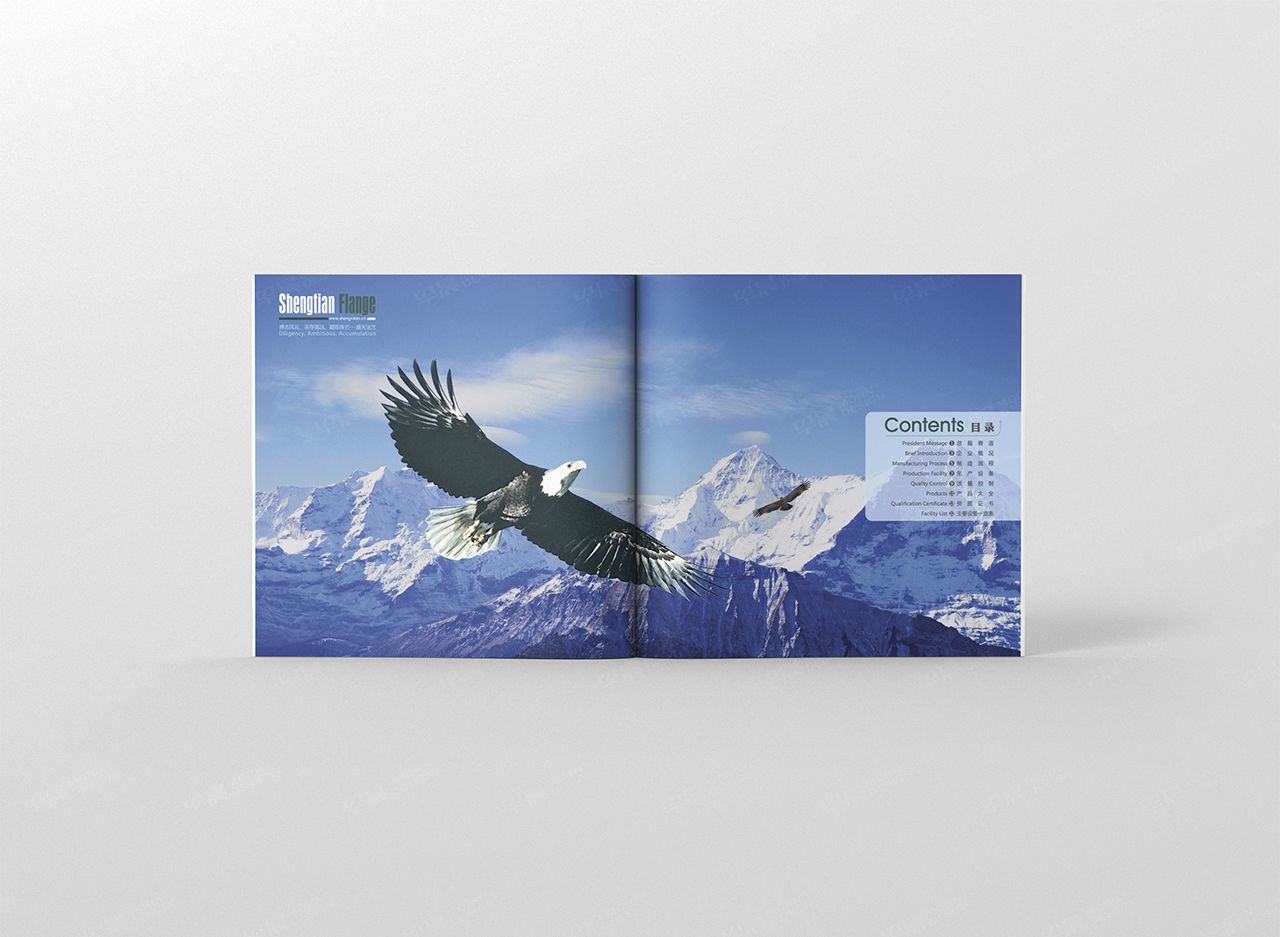 產品手冊設計,產品手冊制作,蘇州,南通,無錫,常州,泰州,張家港,江陰,太倉,昆山,常熟,靖江,如皋,宜興,盛天法蘭產品手冊設計,制作,公司