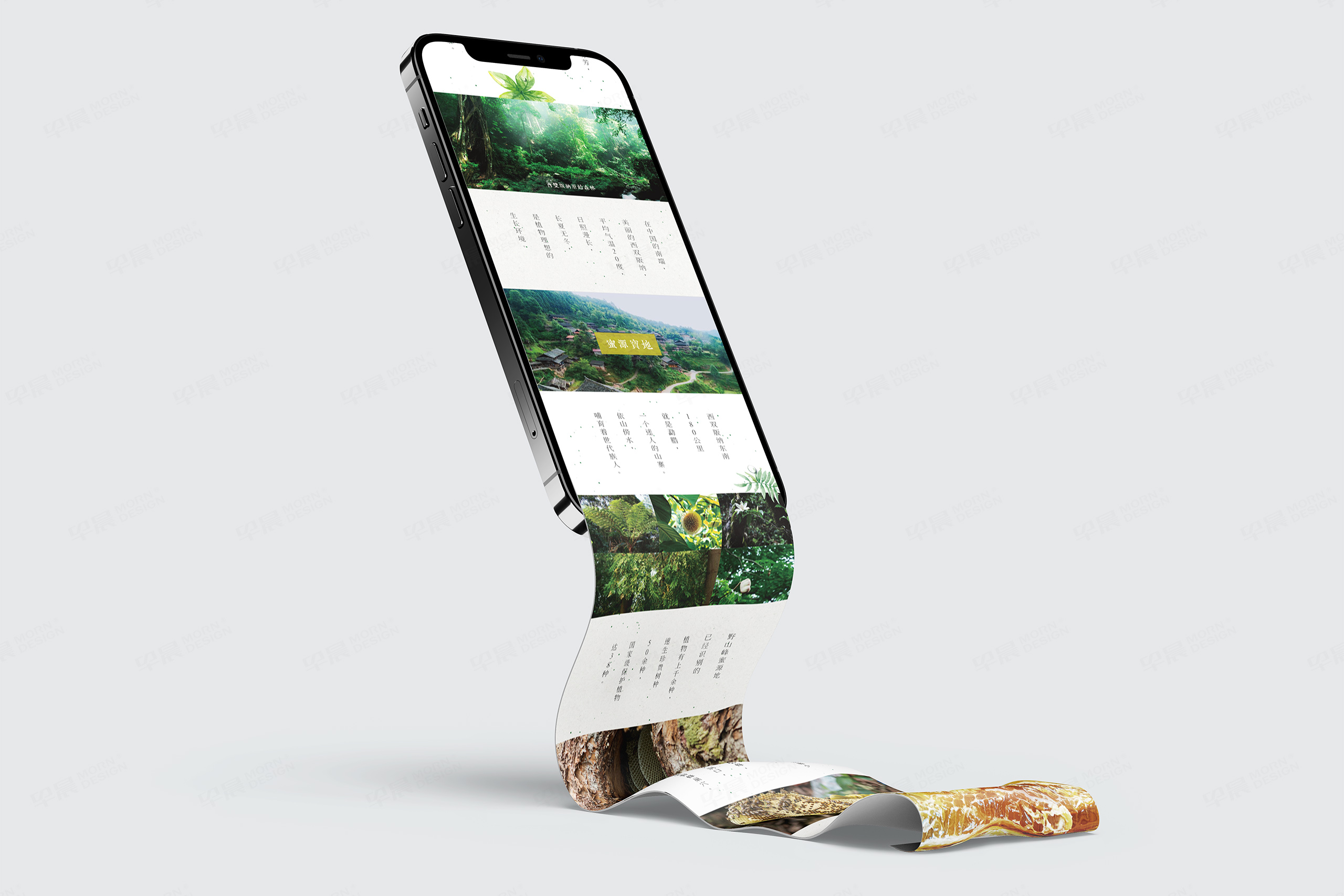 顛貨1688網站設計制作