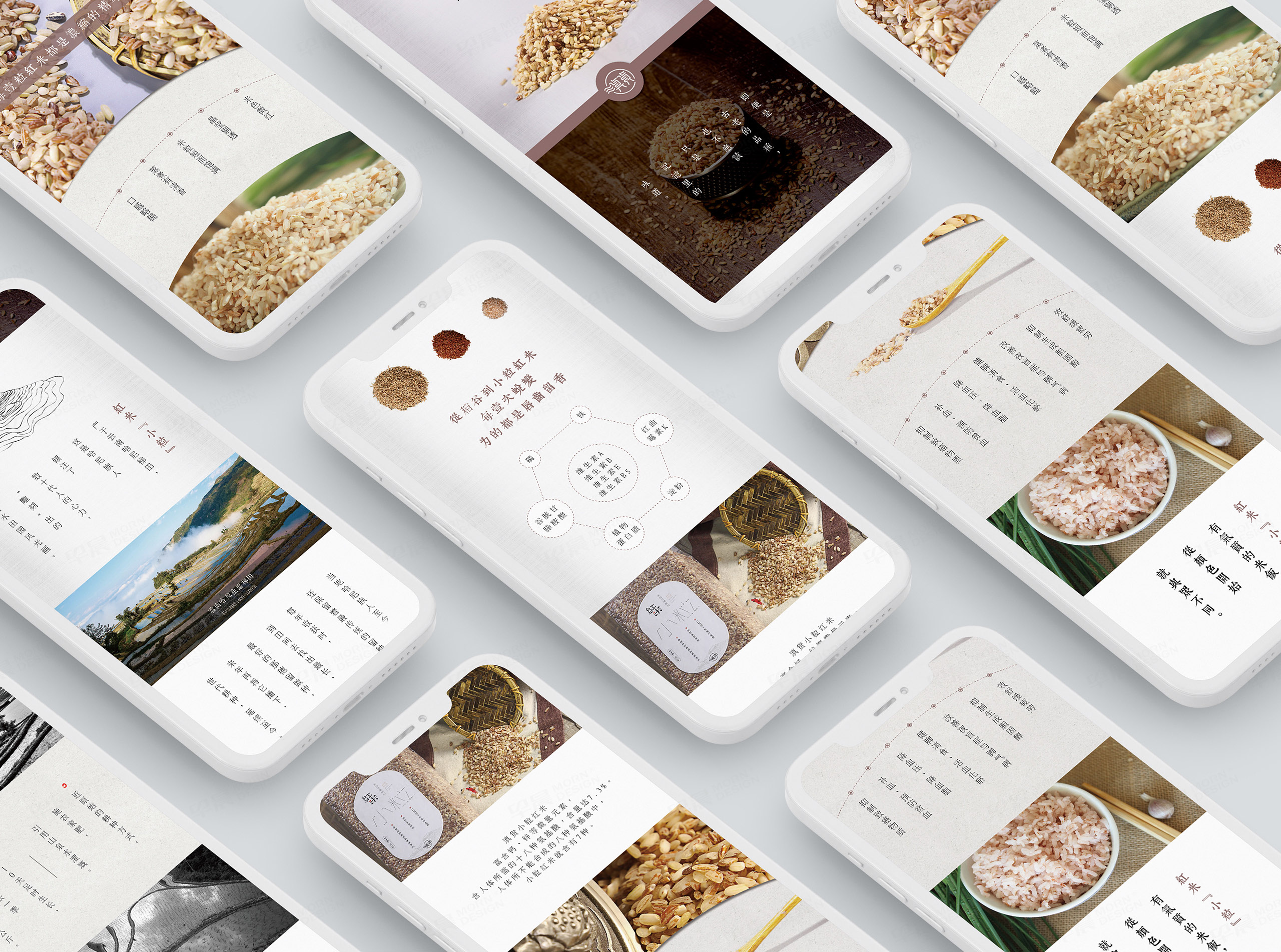 顛貨品牌官網設計