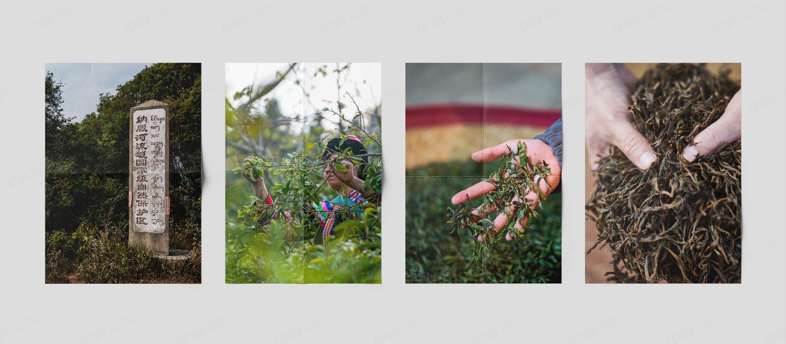 VI設計,大熊手制作品牌VI設計,蘇州,無錫,常州,南通,泰州,鎮江,南京,揚州,全套品牌VI設計,制作,公司