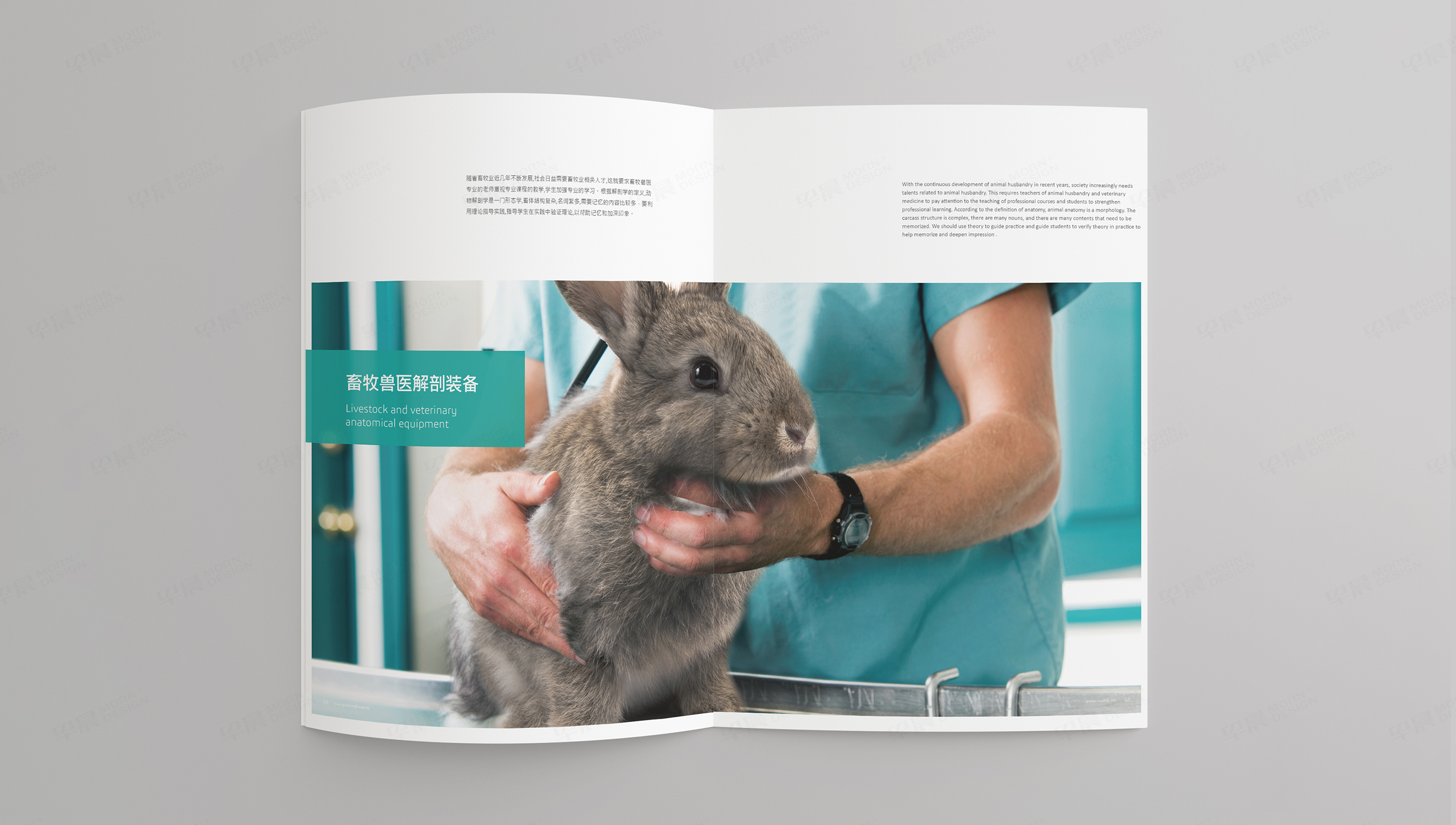 畫冊設計,宣傳冊設計,蘇州,無錫,常州,南通,泰州,張家港,江陰,太倉,昆山,常熟,靖江,畫冊制作,宣傳冊制作,實驗室設備,醫學,日升恒隆,制作公司,設計公司 畫冊設計,宣傳冊設計,蘇州,無錫,常州,南通,泰州,張家港,江陰,太倉,昆山,常熟,靖江,畫冊制作,宣傳冊制作,實驗室設備,醫學,日升恒隆,制作公司,設計公司