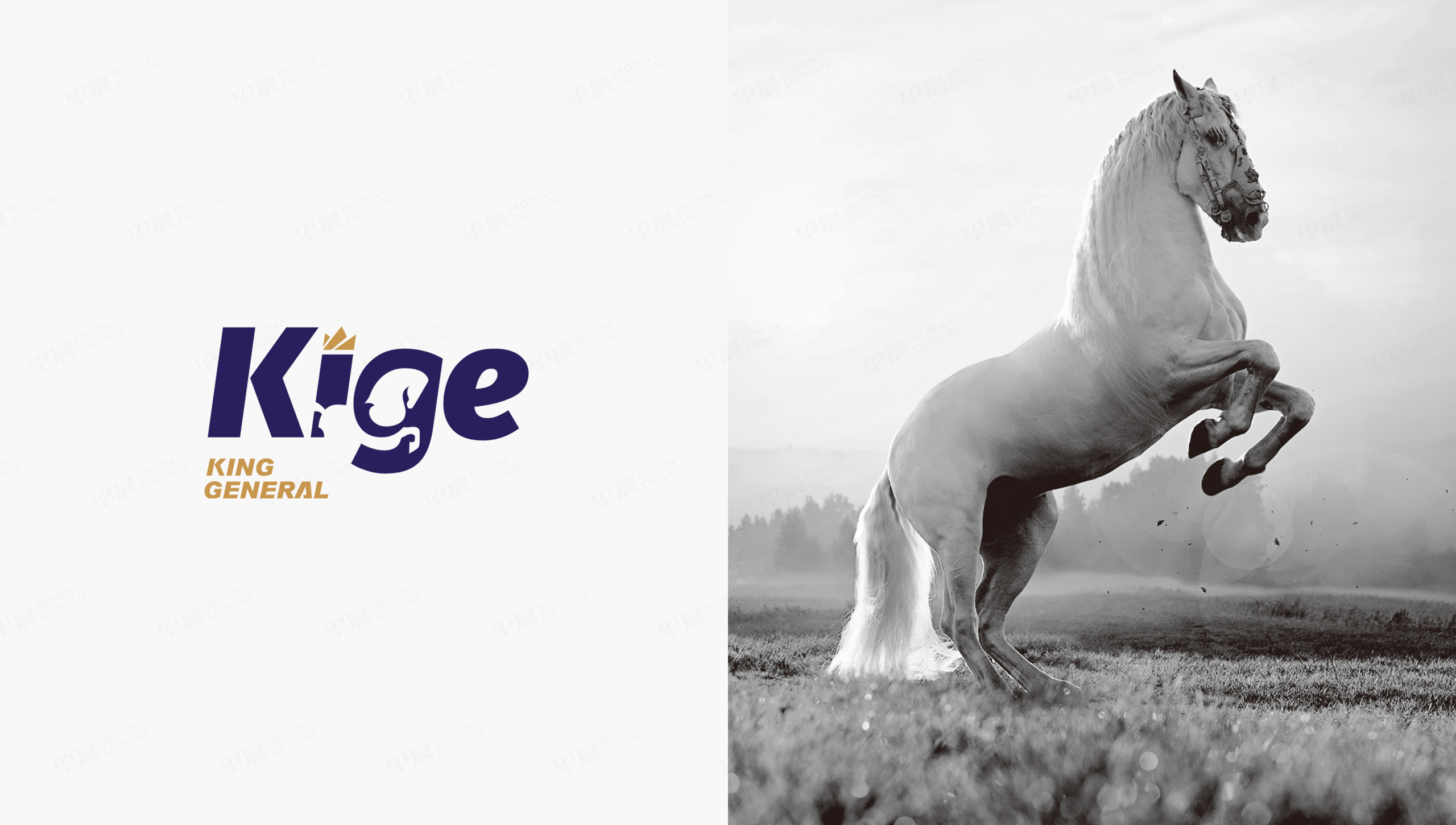 騏驥焊材品牌設計,Logo設計,張家港,江陰,太倉,昆山,常熟,蘇州,無錫,靖江,南通,常州,泰州,Logo設計公司