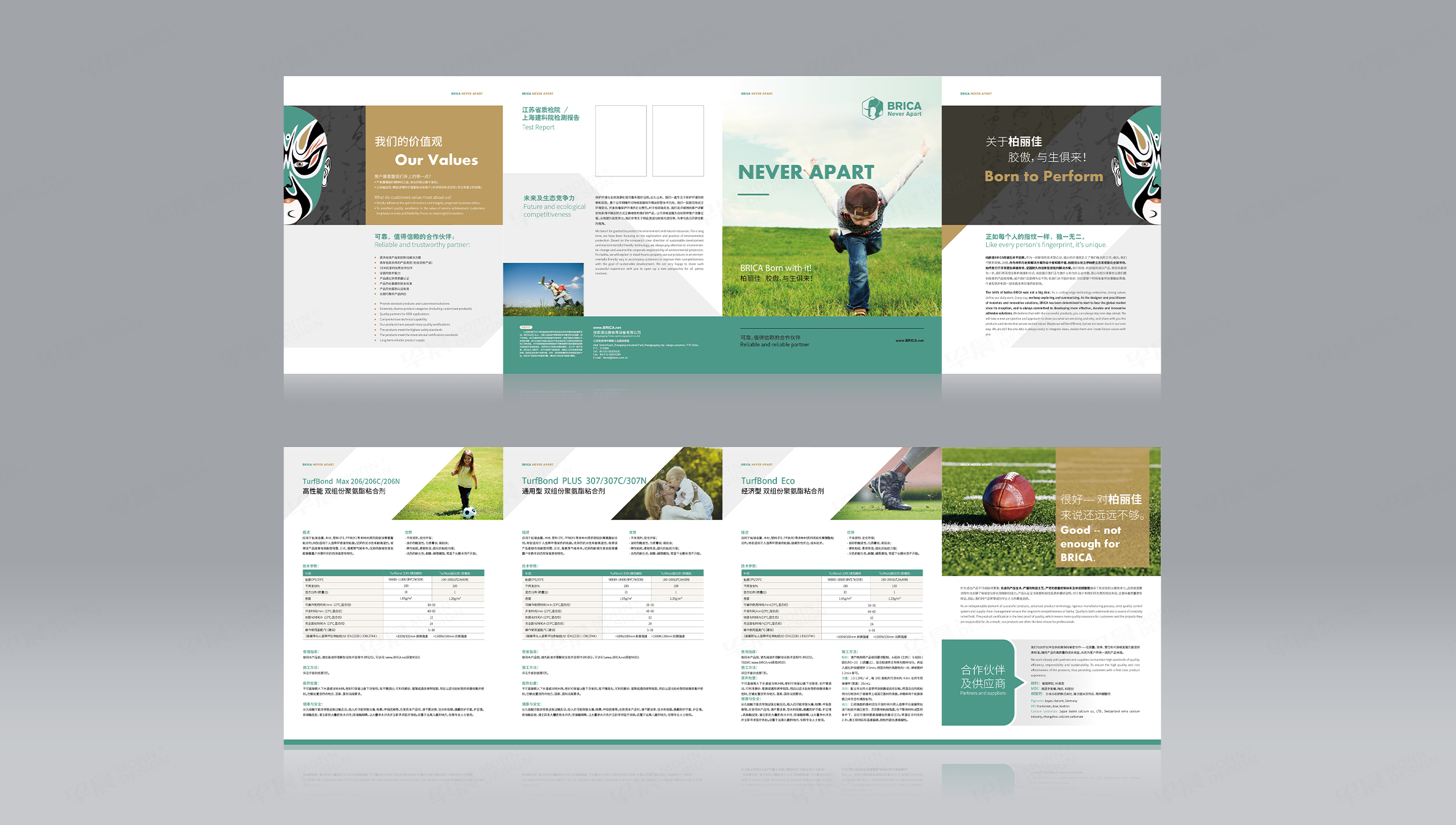 柏麗佳四折頁設計[宣傳頁設計]-早晨設計-蘇州,無錫,常州,南通,泰州,鎮江,南京,揚州,張家港,江陰,太倉,昆山,常熟,靖江的畫冊、宣傳冊設計公司