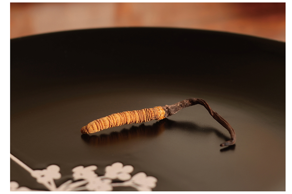 尋草記logo設計|張家港品牌策劃|品牌設計★張家港早晨設計★企業VI設計|企業策劃|形象設計|張家港Logo設計|標志設計|商標設計|字體設計|圖形設計