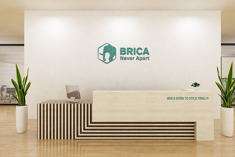 柏麗佳標志logo設計和VI設計,張家港,江陰,太倉,常熟,昆山,靖江,品牌策劃設計,VI設計,標志LOGO設計,公司