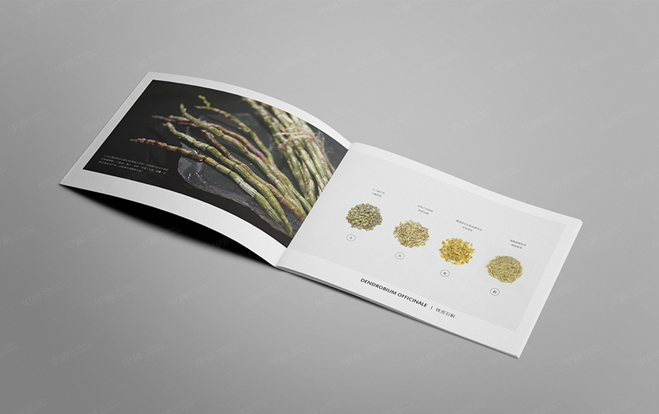 鐵皮石斛,產品冊設計,樣本設計,畫冊設計,蘇州,無錫,常州,泰州,張家港,江陰,昆山,常熟,福元高科,公司