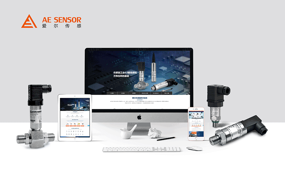 壓力傳感器,網(wǎng)站設計,網(wǎng)站建設,張家港,江陰,太倉,昆山,靖江,如皋,海安,宜興,愛爾,公司