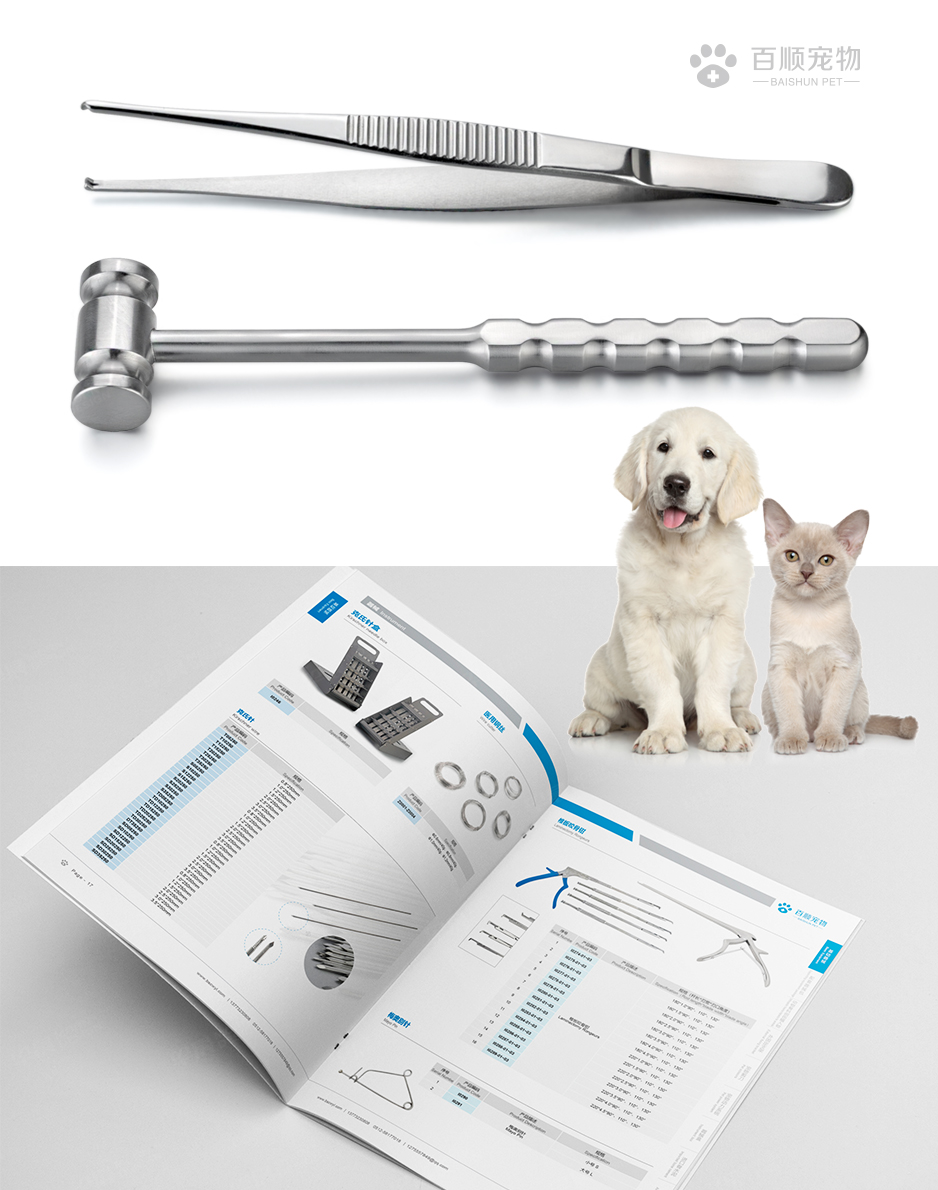 華新百順寵物醫(yī)療宣傳頁(yè)設(shè)計(jì)[畫冊(cè)設(shè)計(jì)]★早晨設(shè)計(jì)★張家港,江陰,太倉(cāng),昆山,常熟,靖江,南通,如皋,靖江,如東,海門,海安,蘇州,無(wú)錫,宜興企業(yè)畫冊(cè)設(shè)計(jì)，專業(yè)宣傳冊(cè)和樣本畫冊(cè)設(shè)計(jì)公司