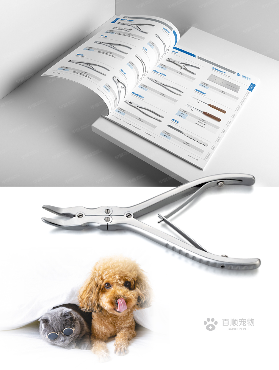 華新百順寵物醫(yī)療宣傳頁(yè)設(shè)計(jì)[畫冊(cè)設(shè)計(jì)]★早晨設(shè)計(jì)★張家港,江陰,太倉(cāng),昆山,常熟,靖江,南通,如皋,靖江,如東,海門,海安,蘇州,無(wú)錫,宜興企業(yè)畫冊(cè)設(shè)計(jì)，專業(yè)宣傳冊(cè)和樣本畫冊(cè)設(shè)計(jì)公司